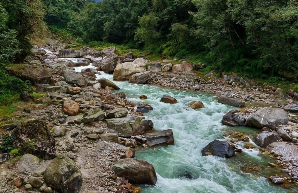 Punar